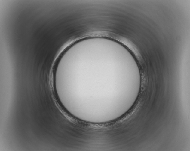 X0000116570886200912101001