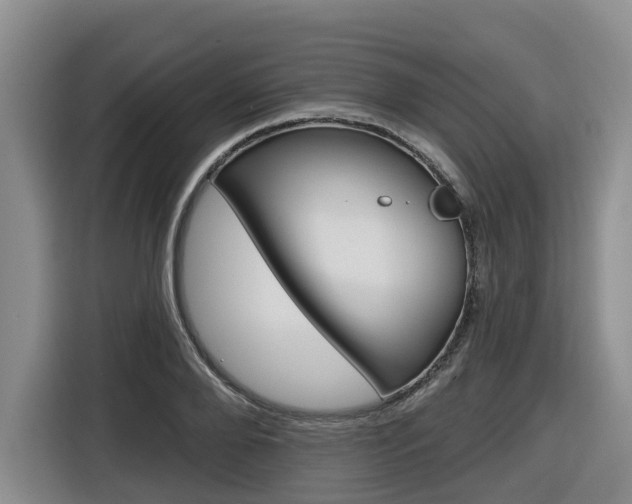 X0000116570888200912101001