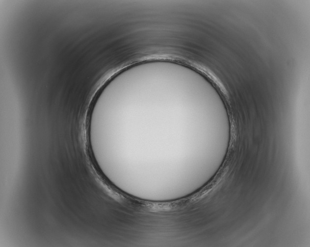 X0000116570890200912101001