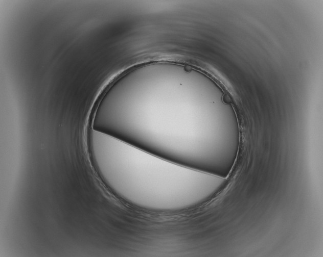 X0000116570891200912101001