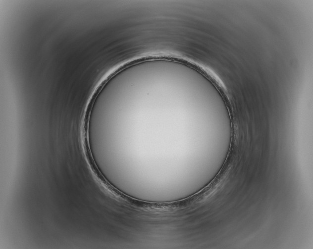 X0000116570895200912101001