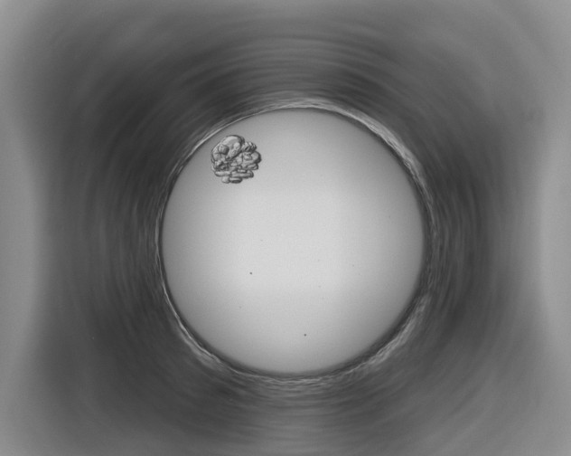 X0000116570897200912101001