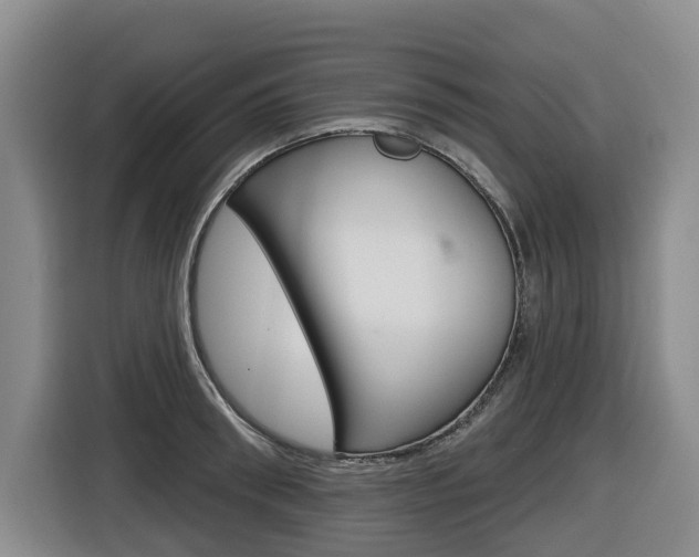 X0000116570898200912101001