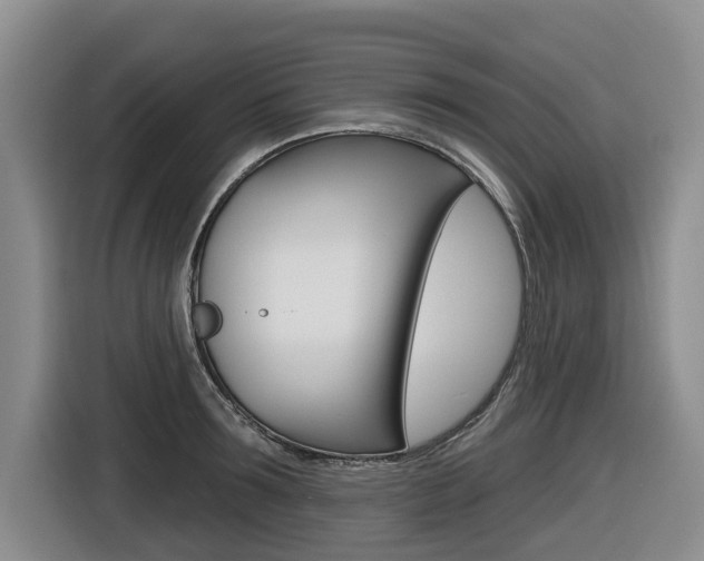 X0000116570899200912101001