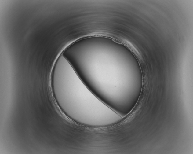 X0000116570900200912101001