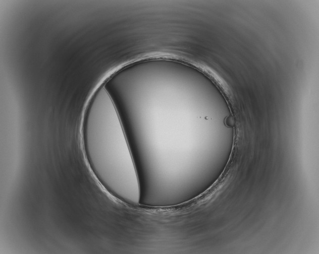 X0000116570902200912101001