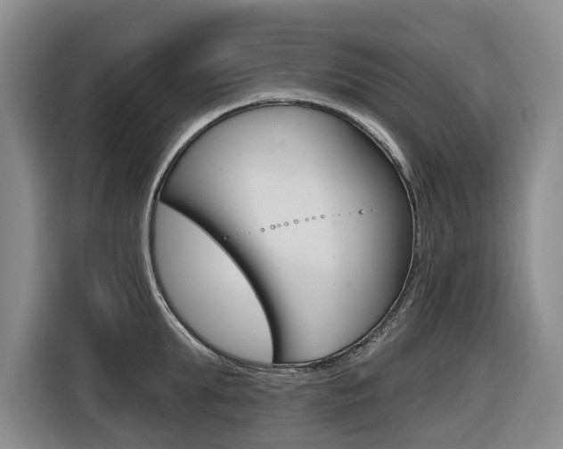 X0000116570903200912101001