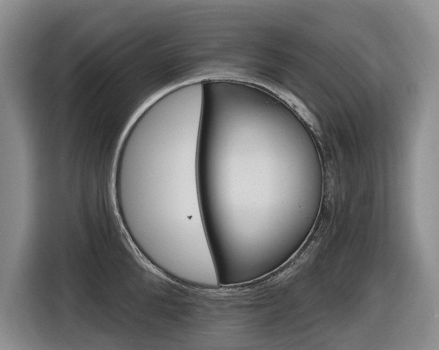 X0000116570904200912101001