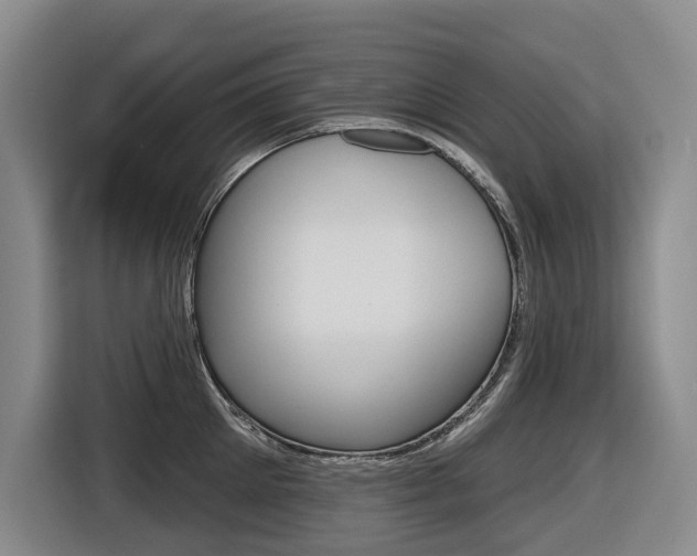 X0000116570905200912101001