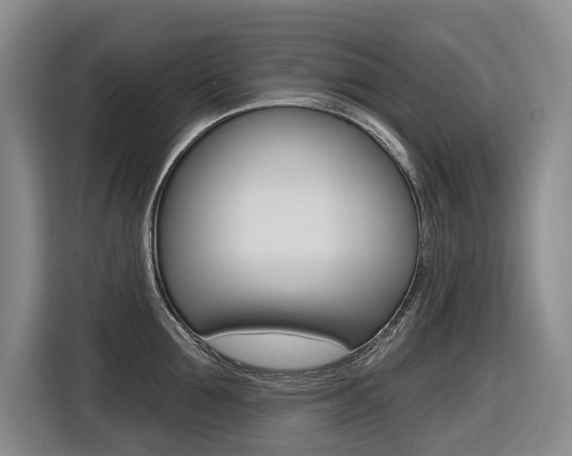 X0000116570907200912101001