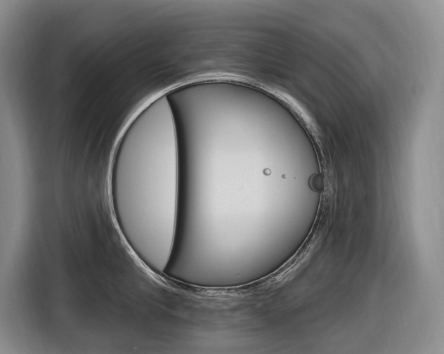 X0000116570910200912101001