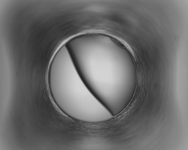 X0000116570911200912101001