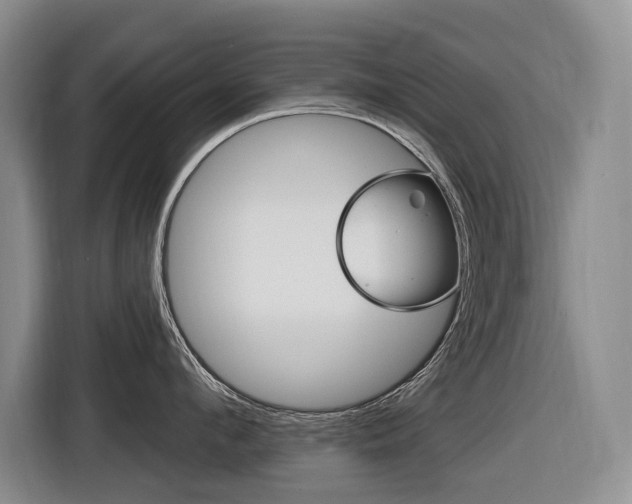 X0000116570912200912101001