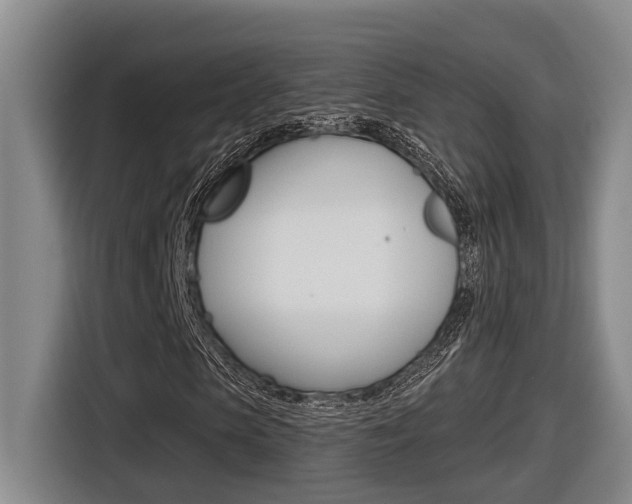 X0000116570913200912101000