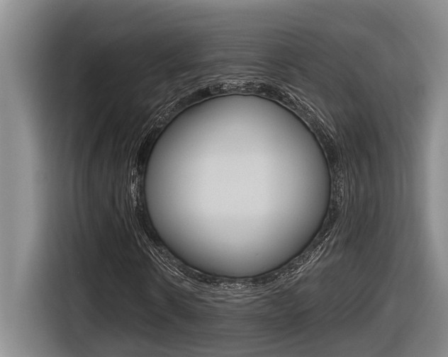 X0000116570914200912101000