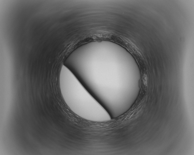 X0000116570915200912101000