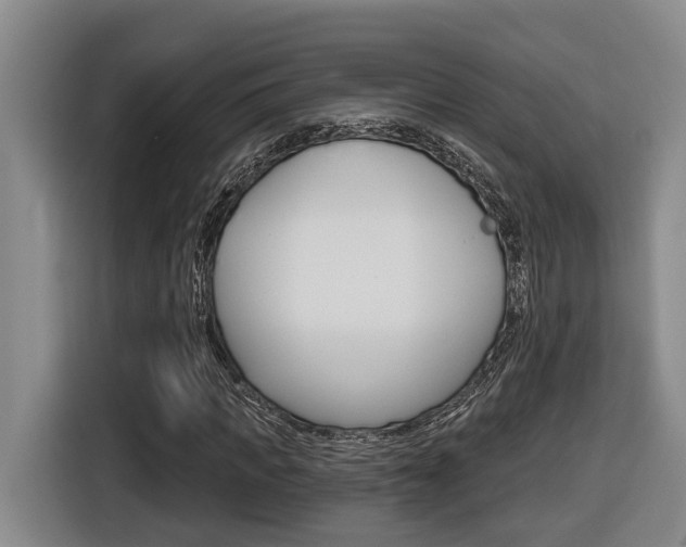 X0000116570917200912101000