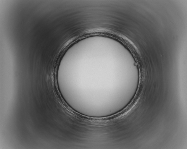 X0000116570921200912101000