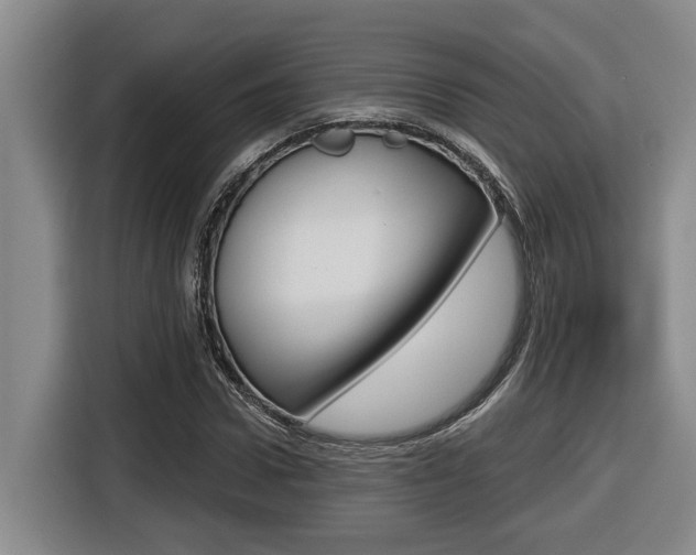 X0000116570922200912101000