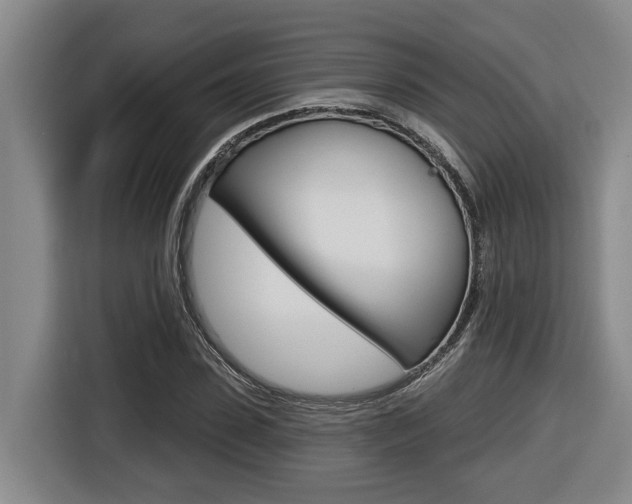 X0000116570923200912101000