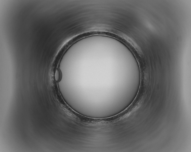 X0000116570926200912101000