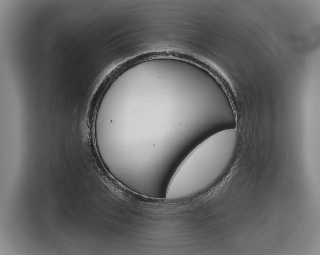 X0000116570927200912101000