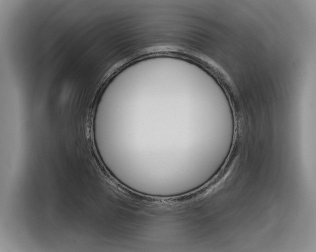 X0000116570929200912101000