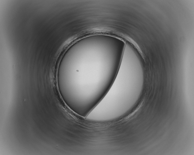 X0000116570930200912101000