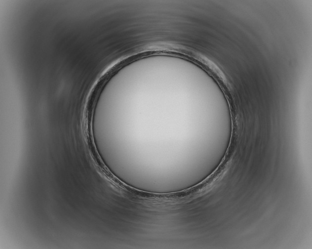 X0000116570931200912101000