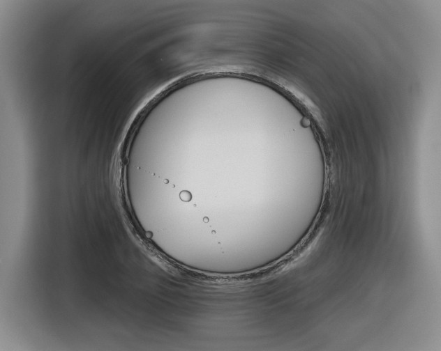 X0000116570933200912101000