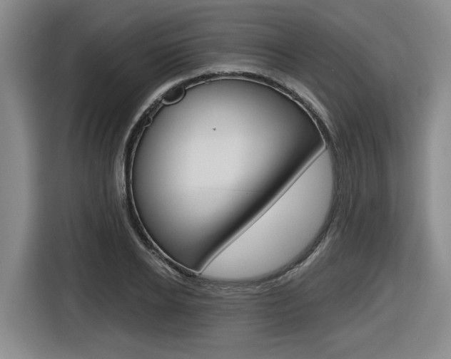 X0000116570934200912101000