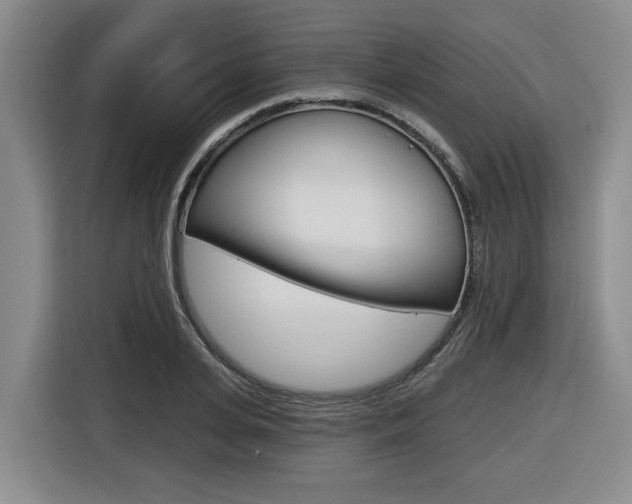 X0000116570935200912101000