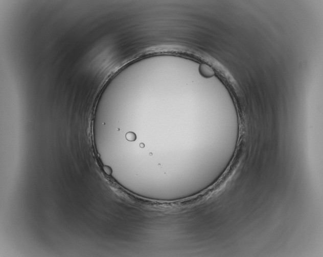 X0000116570937200912101000