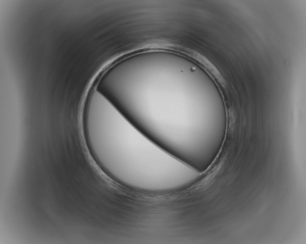 X0000116570939200912101000