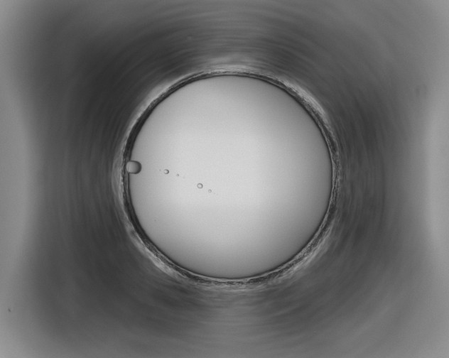 X0000116570941200912101000