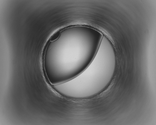 X0000116570942200912101000