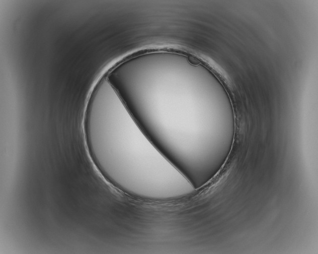 X0000116570943200912101000