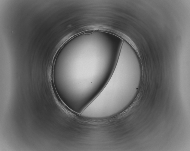 X0000116570946200912101001