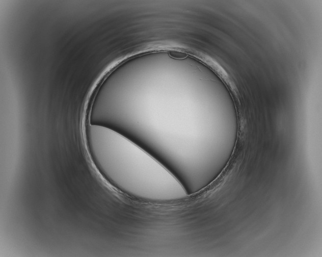 X0000116570947200912101001