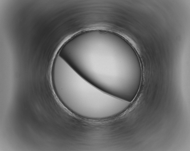 X0000116570949200912101001