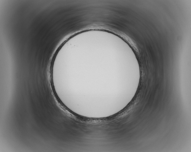 X0000116570950200912101001