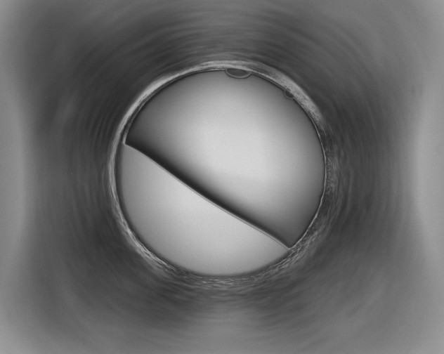 X0000116570955200912101001