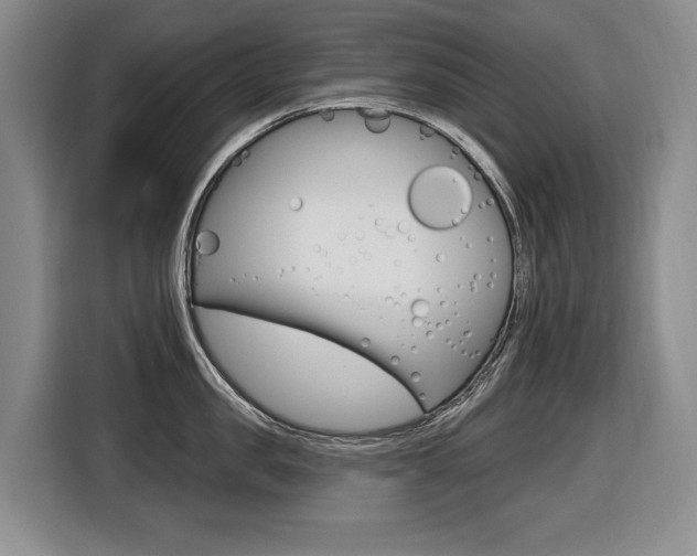 X0000116570957200912101001