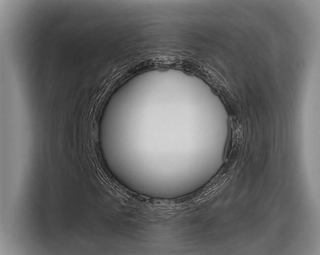 X0000116570961200912101000