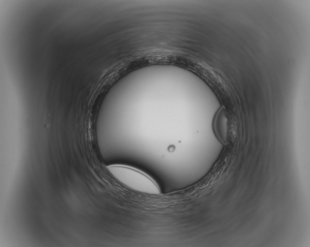 X0000116570964200912101000