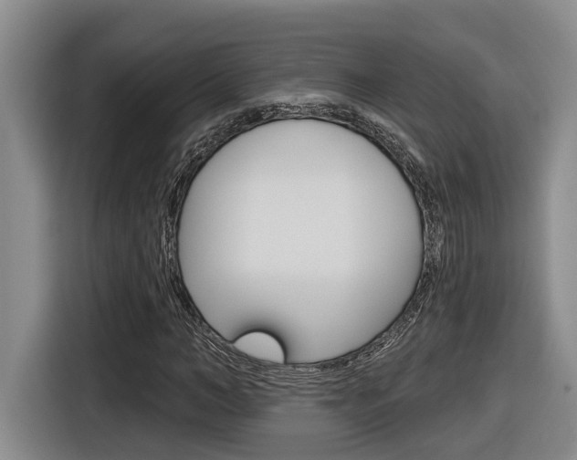 X0000116570966200912101000