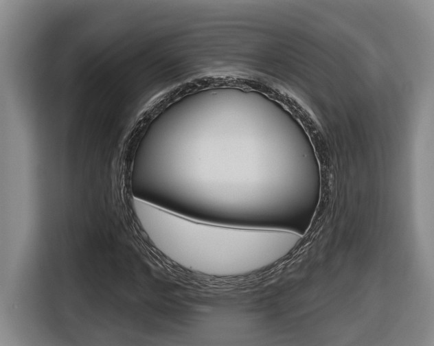 X0000116570968200912101000