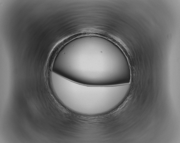 X0000116570971200912101000