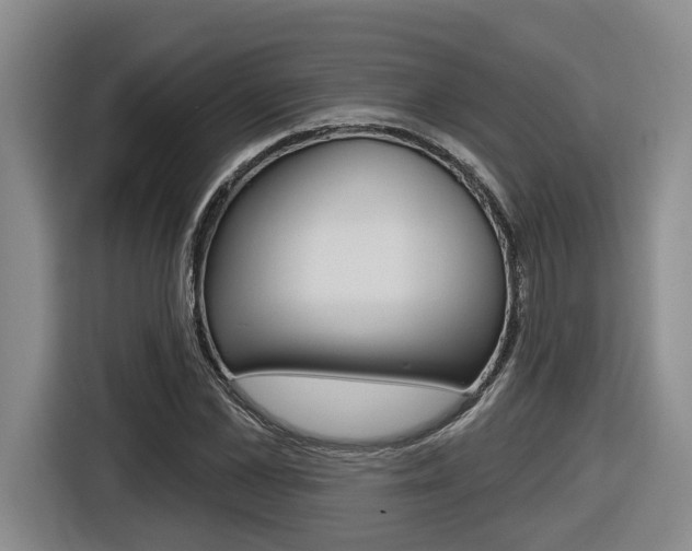 X0000116570973200912101000