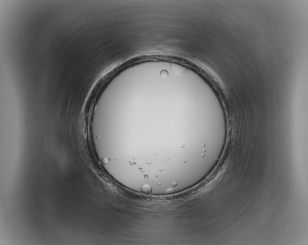 X0000116570974200912101000